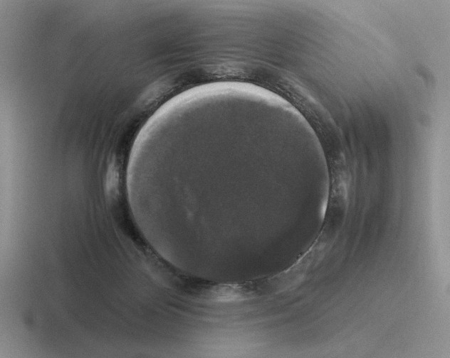 X0000116440124201001051212