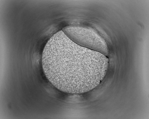 X0000116440125201001051212