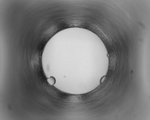 X0000116440126201001051212