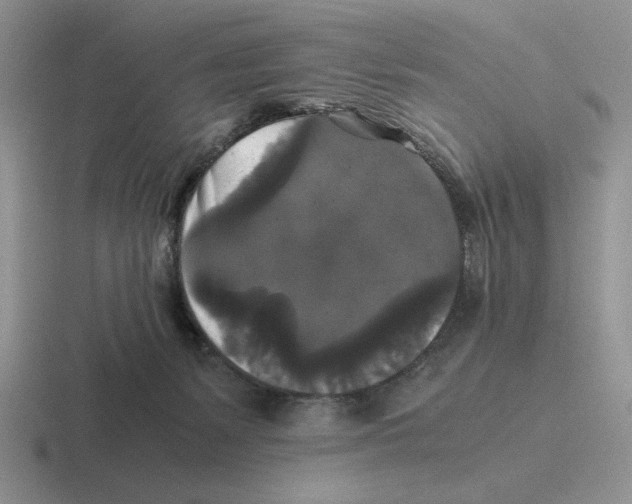 X0000116440127201001051212