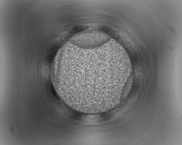 X0000116440129201001051212