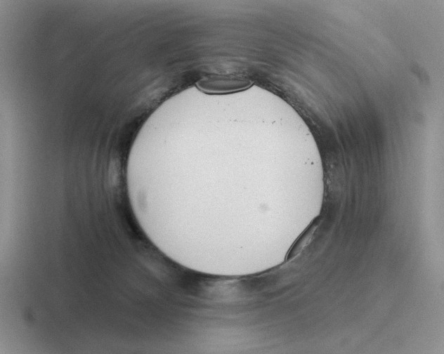 X0000116440132201001051212