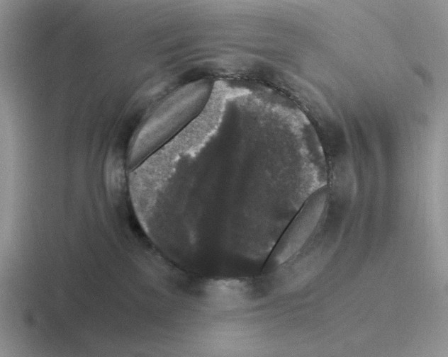 X0000116440137201001051212