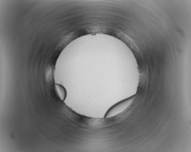 X0000116440142201001051212