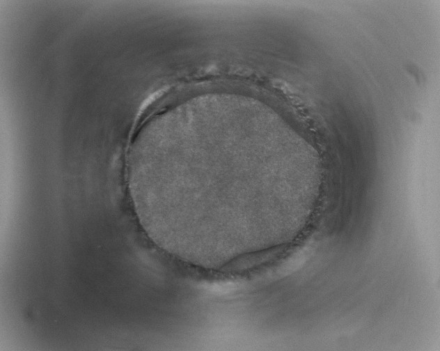 X0000116440144201001051212