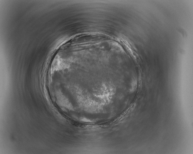 X0000116440145201001051211