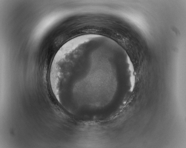 X0000116440146201001051211