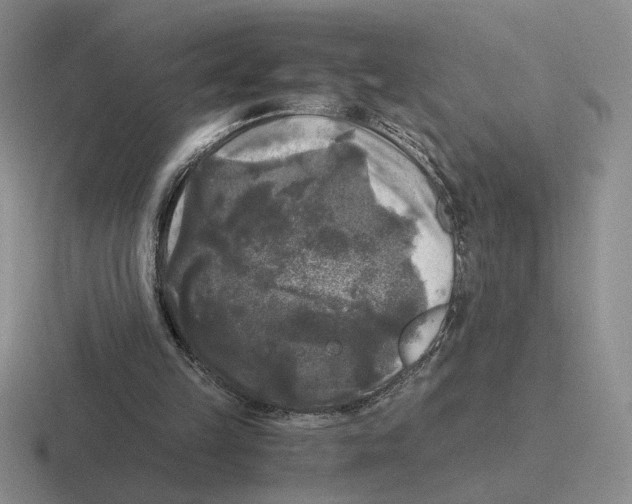 X0000116440149201001051211