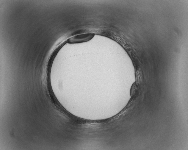 X0000116440150201001051211