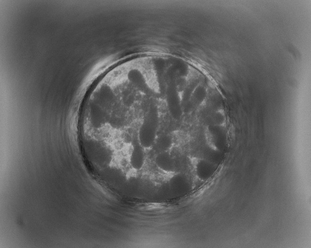 X0000116440151201001051211