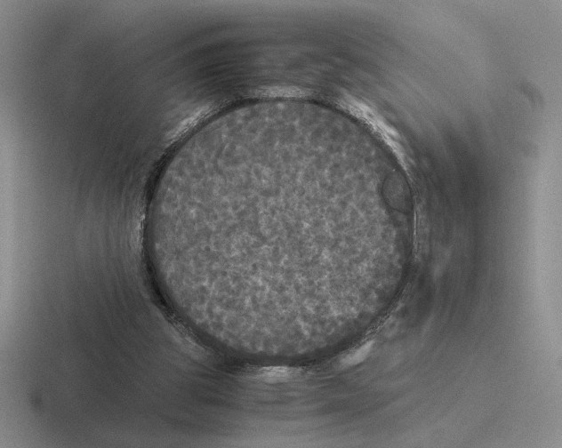 X0000116440153201001051211