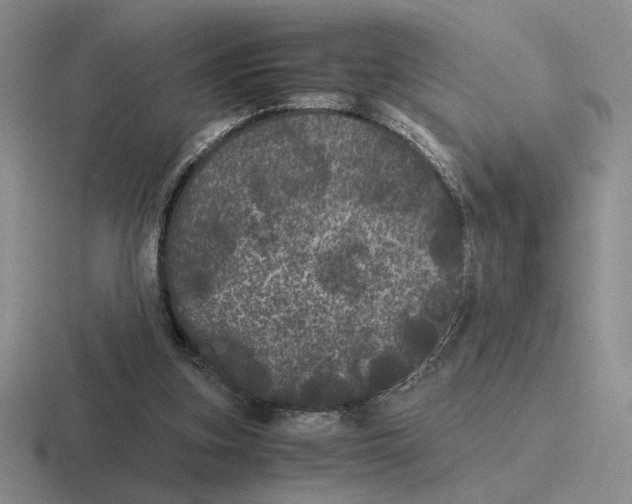 X0000116440155201001051211