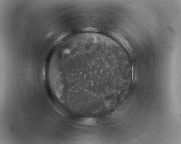 X0000116440157201001051211