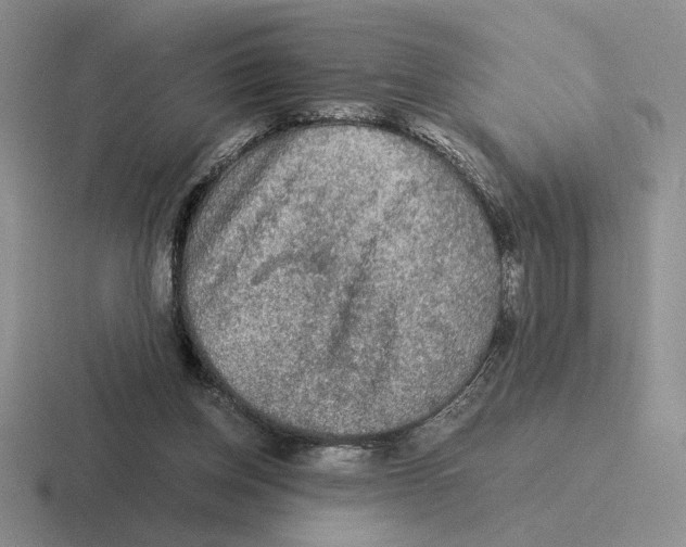 X0000116440158201001051211