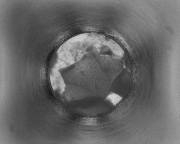 X0000116440161201001051211