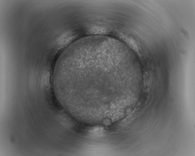 X0000116440162201001051211