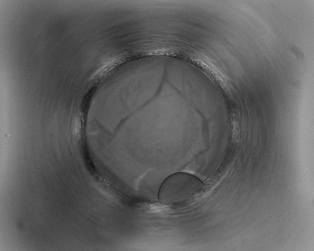 X0000116440165201001051211