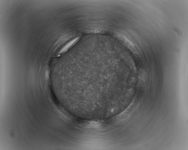 X0000116440166201001051211