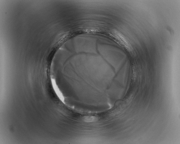 X0000116440169201001051212