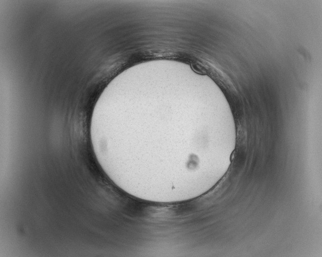 X0000116440170201001051212