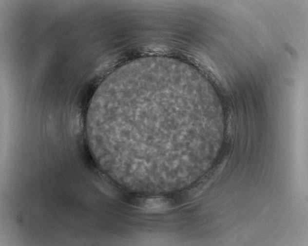 X0000116440173201001051212