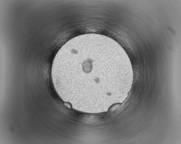 X0000116440174201001051212