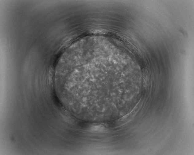 X0000116440175201001051212