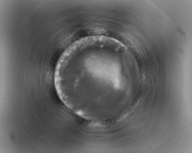 X0000116440177201001051212