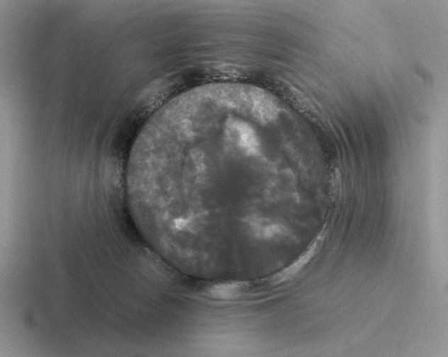 X0000116440178201001051212