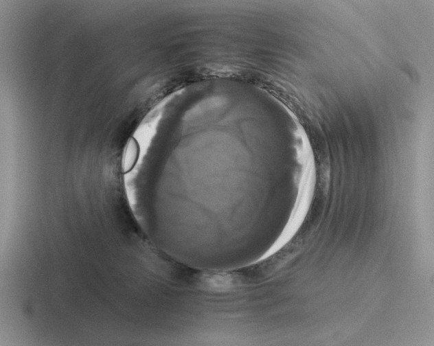 X0000116440181201001051212