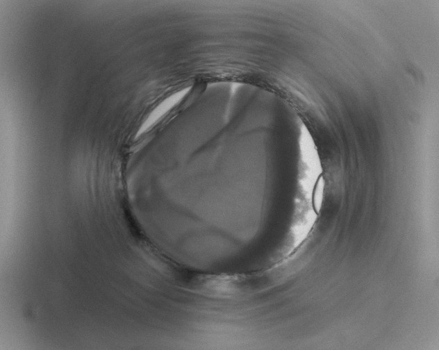 X0000116440182201001051212