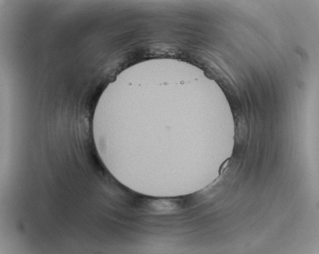 X0000116440183201001051212