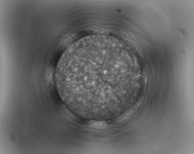 X0000116440185201001051212