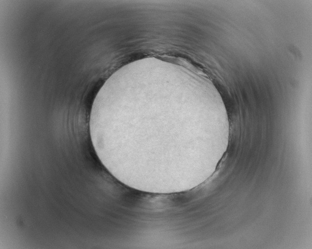 X0000116440186201001051212