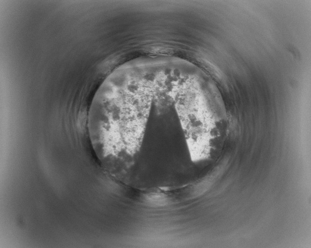 X0000116440189201001051212