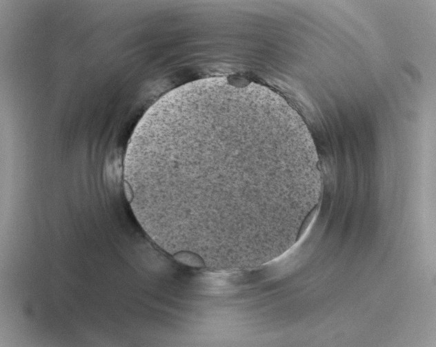 X0000116440190201001051212