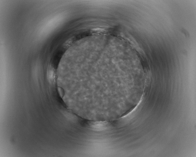 X0000116440191201001051212