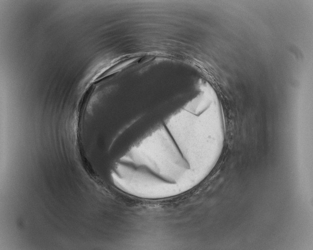 X0000116440194201001051211