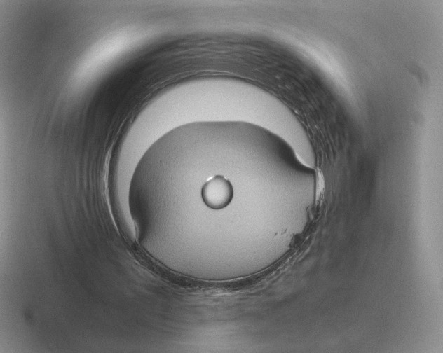 X0000116440195201001051211