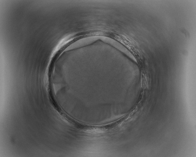 X0000116440198201001051211