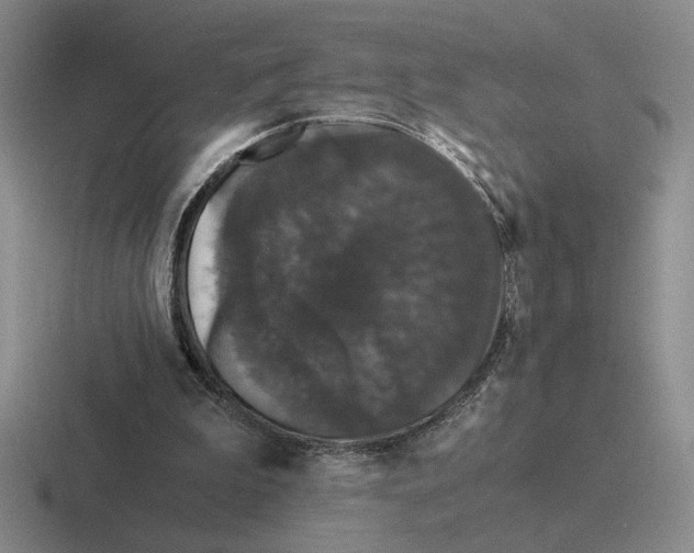 X0000116440199201001051211