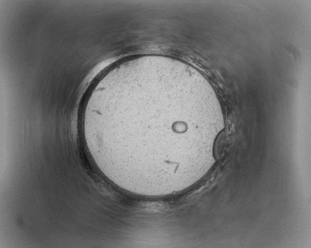 X0000116440200201001051211