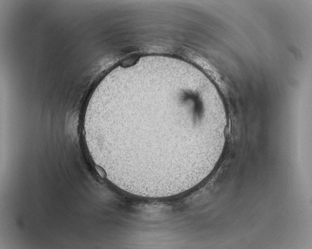 X0000116440201201001051211