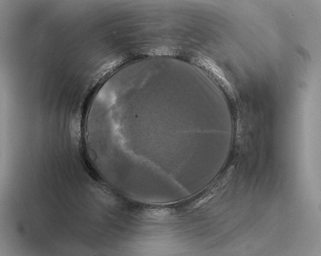 X0000116440202201001051211