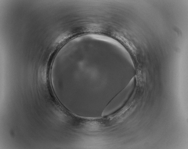 X0000116440203201001051211