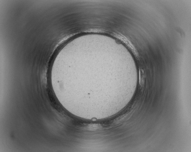 X0000116440204201001051211