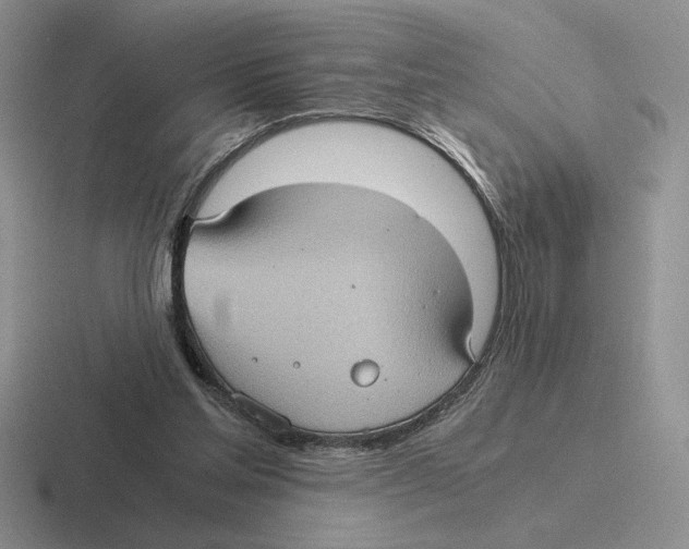 X0000116440205201001051211