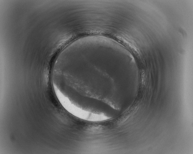 X0000116440206201001051211