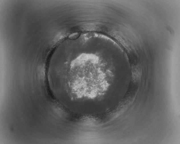 X0000116440207201001051211