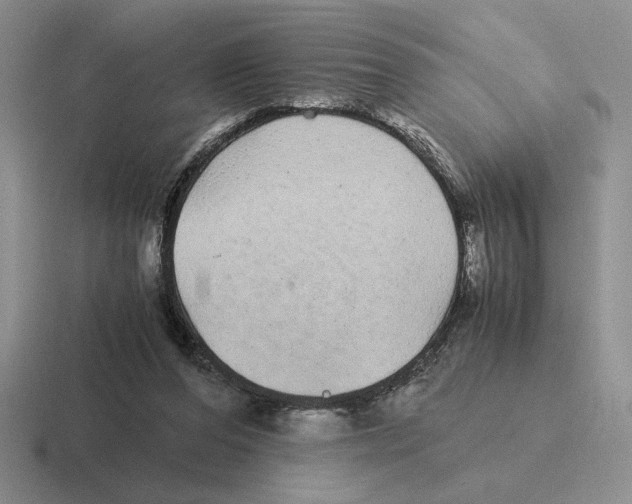 X0000116440208201001051211